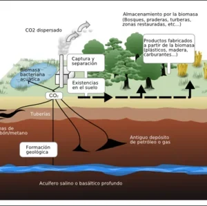 Esquema almacenamiento CO2 para el dia de la tierra