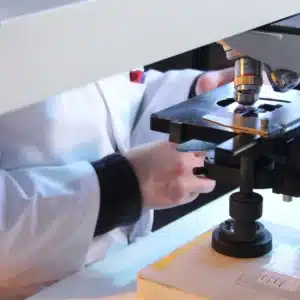 Estudiando a través del microscopio